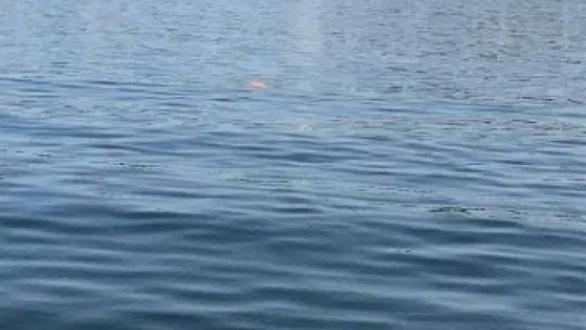 Kocaeli'de denizde erkek cesedi bulundu