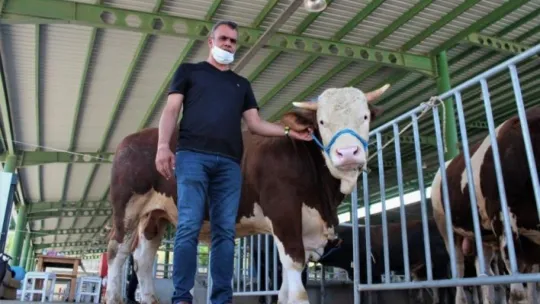 Kocaeli'de kurban pazarları sakin