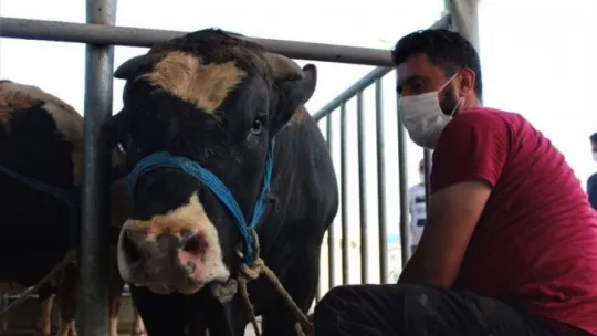 Kocaeli'de kurban pazarları sakin