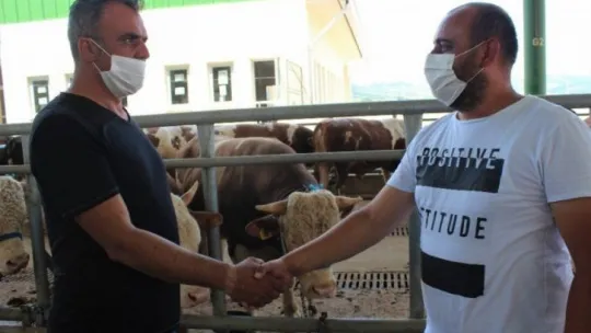 Kocaeli'de kurban pazarları sakin