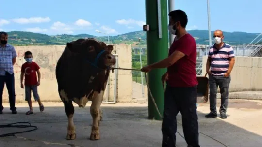 Kocaeli'de kurban pazarları sakin