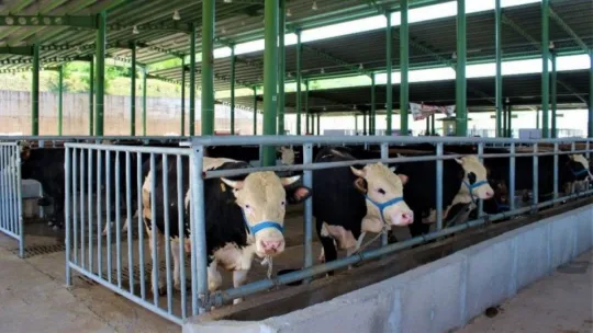 Kocaeli'de kurban pazarları sakin