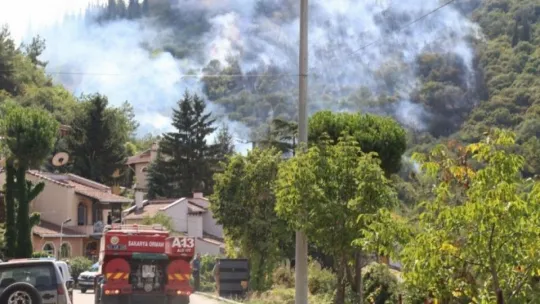 Kocaeli'de orman yangını!