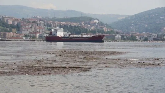 Kocaeli'de selin sürüklediği atıklar İzmit Körfezi'nde rekoru getirdi