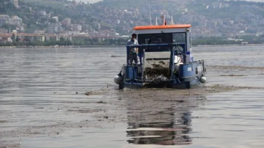Kocaeli'de selin sürüklediği atıklar İzmit Körfezi'nde rekoru getirdi