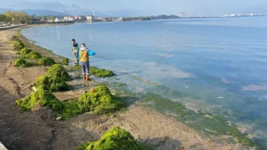 Kocaeli'de sonbahar temizliği