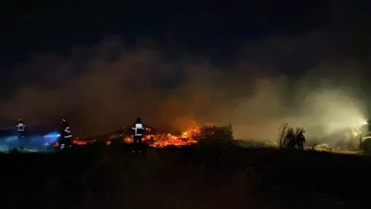 Kocaeli'de tonlarca palet yangında kül oldu!