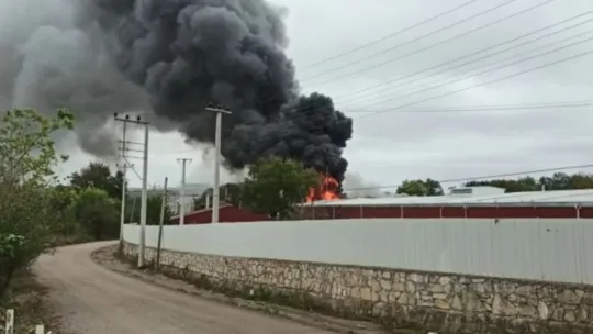 Kocaeli'de yağ fabrikasında yangın