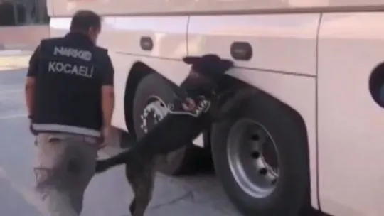 Kocaeli'de yolcu otobüsünden 30 kilo eroin çıktı!