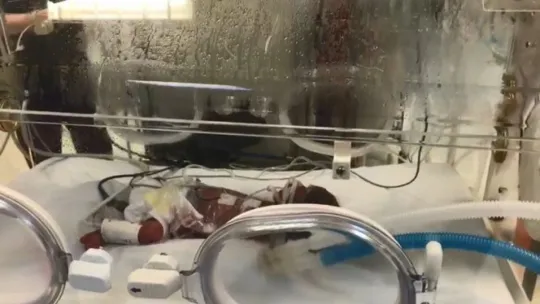 Kocaeli'deki anne beşiz bebek dünyaya getirdi!