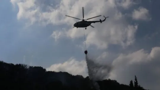 Kocaeli'deki orman yangınına 1 gözaltı!