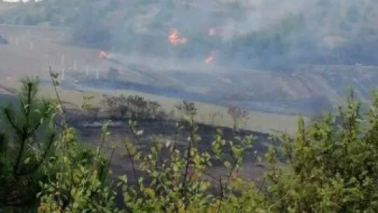 Kocaeli'nin 11 bölgesinde orman yangınları çıktı