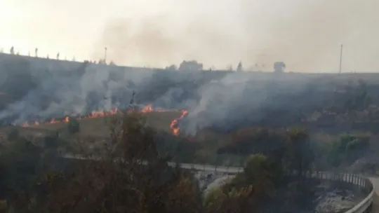 Kocaeli'nin 11 bölgesinde orman yangınları çıktı