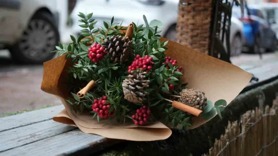 Kokina hırsızı sevimli köpek kameraya yakalandı