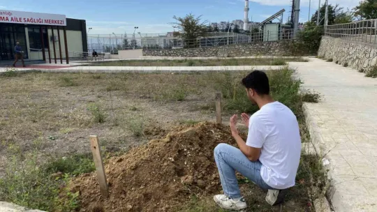 İzmit'te komedi filmi gibi olay: Peyzaj beklerken mezar görüntüsüyle karşılaştılar