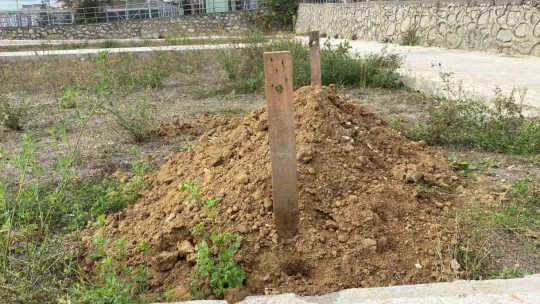 İzmit'te komedi filmi gibi olay: Peyzaj beklerken mezar görüntüsüyle karşılaştılar