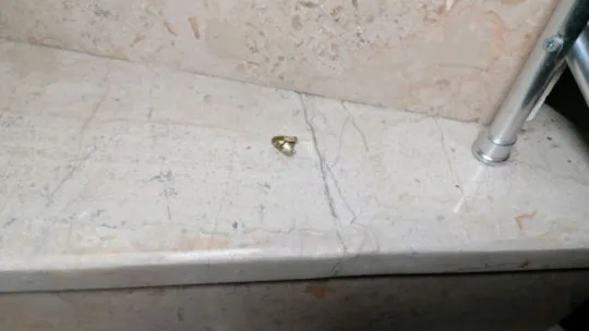 Komşu aileler arasında park kavgası: 1 ölü, 2 yaralı!