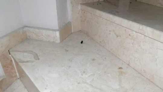 Komşu aileler arasında park kavgası: 1 ölü, 2 yaralı!