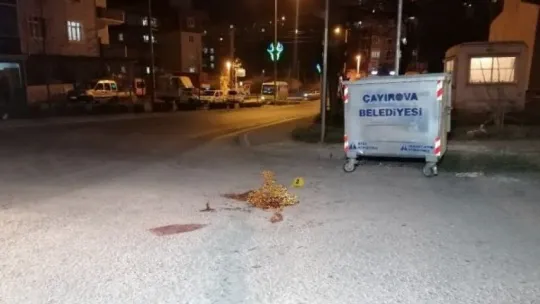 Komşu aileler arasında park kavgası: 1 ölü, 2 yaralı!