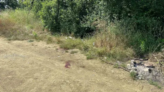 Komşusunu öldüren sanığa müebbet hapis talebi