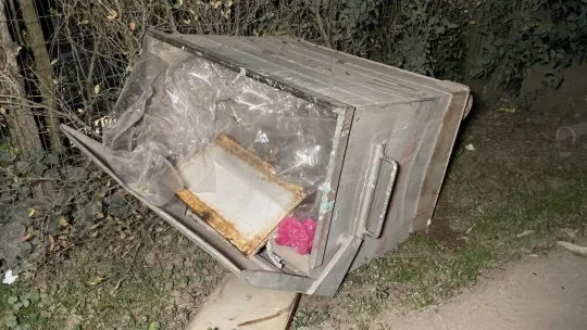 Köpeğe çarpmamak için çöp kutusuna çarptı!