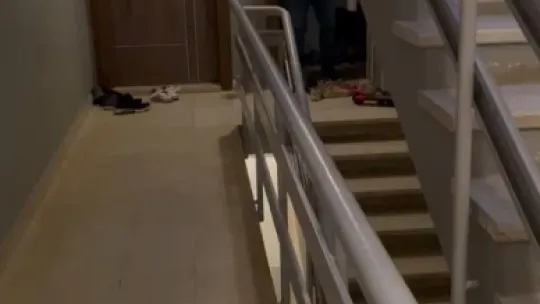 Köpeğe tekme iddiası ortalık karıştırdı: İki komşu birbirine girdi