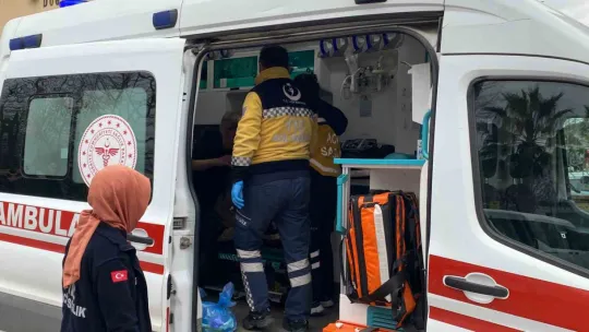 Kocaeli'de vatandaşa köpek saldırdı