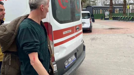 Kocaeli'de vatandaşa köpek saldırdı