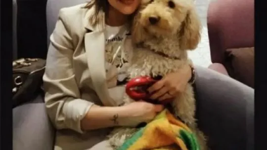 Köpeğini ezen ehliyetsiz sürücünün ailesine isyan etti