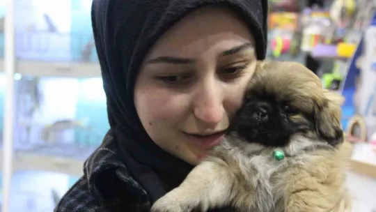 Köpekle önce ilgilendi sonra peşine takıp çaldı