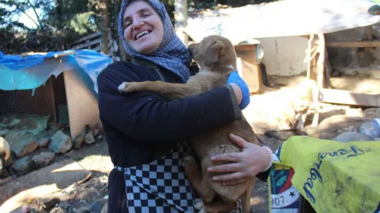 İnekler, hayvanseverleri isyan ettirdi