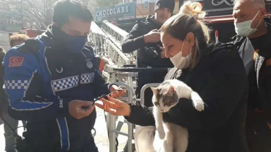 Köpekten korkup çıktığı ağaçtan itfaiye indirdi
