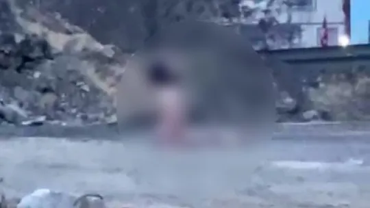 Köprü altında akıllara durgunluk veren görüntüler