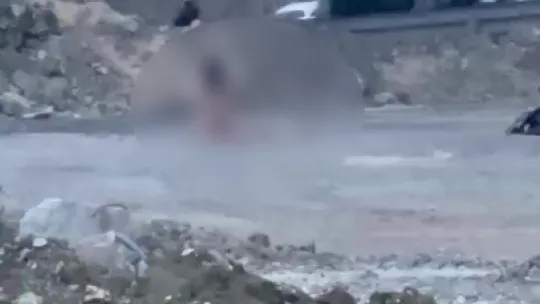 Köprü altında akıllara durgunluk veren görüntüler