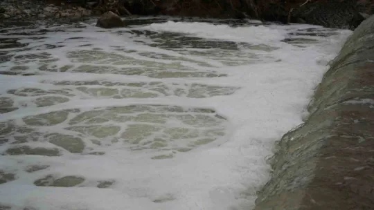 Köpüren dereden ağır kokular yükseliyor