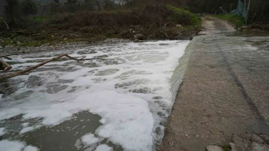 Köpüren dereden ağır kokular yükseliyor