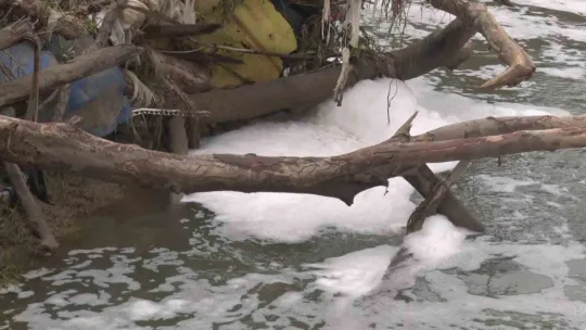 Köpüren dereden ağır kokular yükseliyor