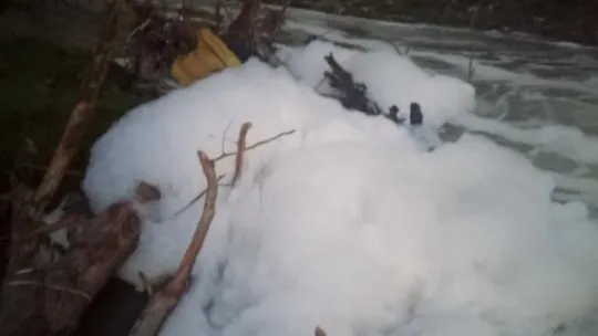 Köpüren dereden ağır kokular yükseliyor