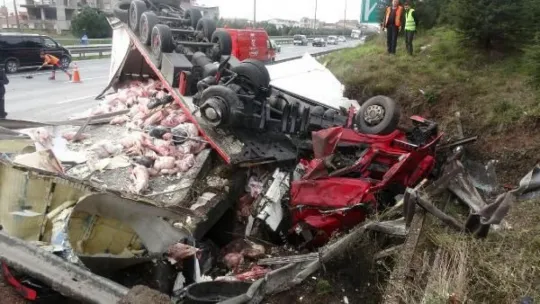 Körfez TEM'de et yüklü TIR takla attı!