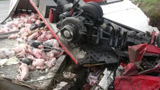 Körfez TEM'de et yüklü TIR takla attı!