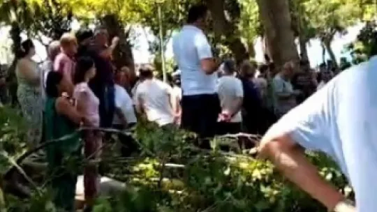 Korkunç olay: Çınar ağacının kopan dalı vatandaşların üzerine düştü