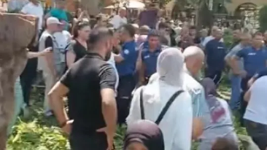 Korkunç olay: Çınar ağacının kopan dalı vatandaşların üzerine düştü
