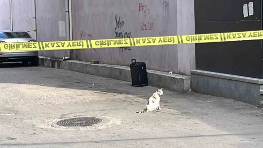 Korkuya sebep olan şüpheli valiz fünye ile patlatıldı