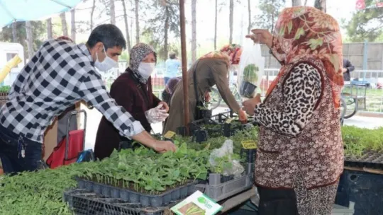 Korona virüs nedeniyle evde kalanlar fide satışlarını ikiye katladı