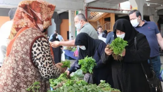 Korona virüs nedeniyle evde kalanlar fide satışlarını ikiye katladı