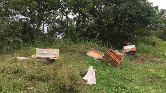 Kovanları parçalandı, arıları telef oldu