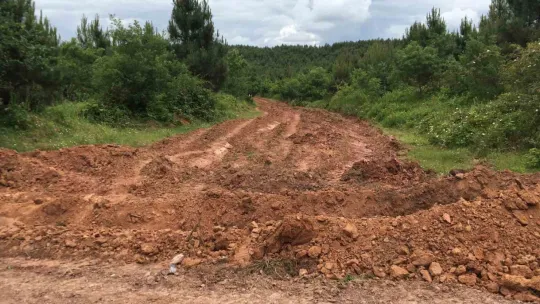 Kovanları parçalandı, arıları telef oldu