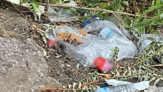 Kuraklık yetmedi, şimdi de çöplerle boğuşuyor