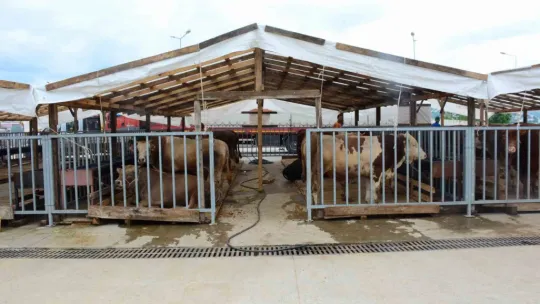 Kurban kesecekler dikkat