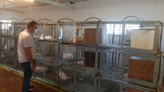 Kurduğu tavşan eti çiftliğinde 'D' vitamini üretecek!
